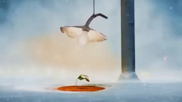 Безумно обожаю этот ролик, этот трек! D.White - No connect (1)