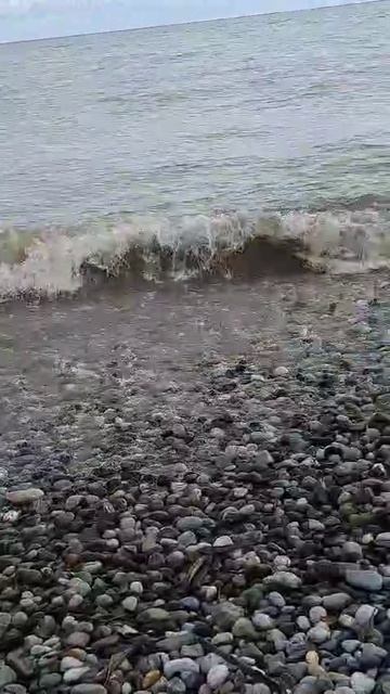 1000093686.mp4