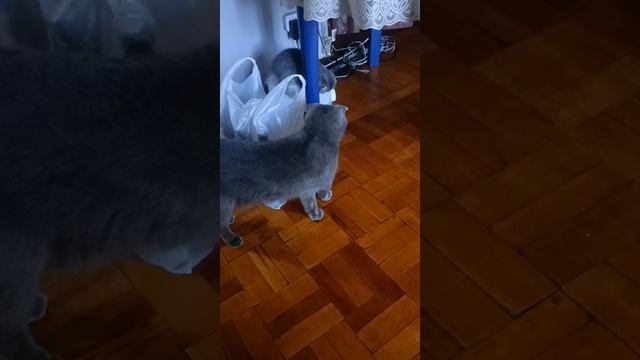 1000081314.mp4