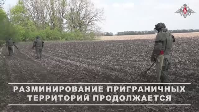 Работа военных инженеров ГрВ «Север» по разминированию территории Белгородской области