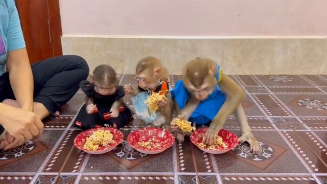 🐵Обезьянки едят😀 ПОПКОРН сладкий Готовятся в КИНО пять минут СМЕХА🔥