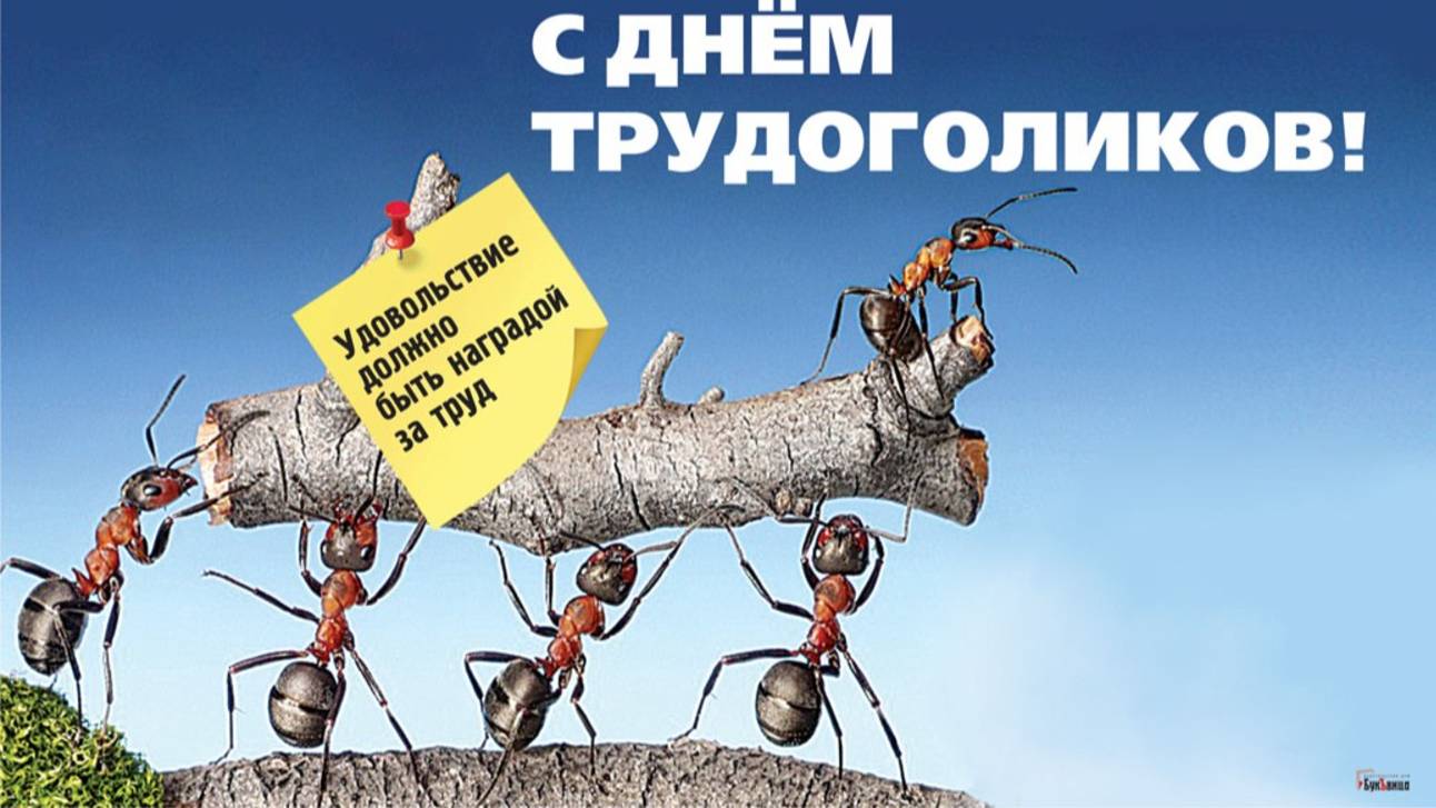 Быкову, по-моему, подписчики уже замучили советами