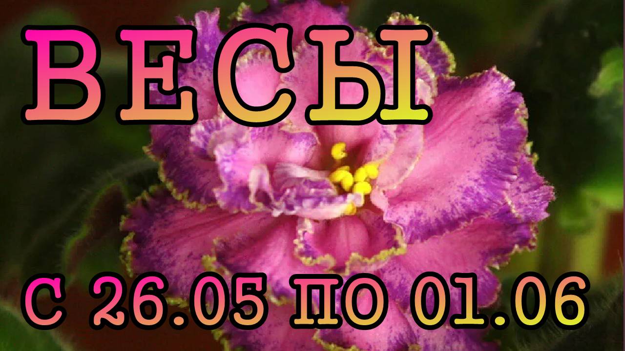 ВЕСЫ таро прогноз на неделю с 26 МАЯ по 1 ИЮНЯ 2025 года.
