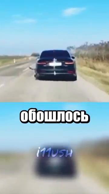 i11ushenka (233)