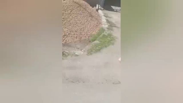 1000120354.mp4
