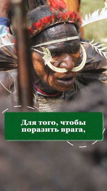 ИМ делали жертвоприношения