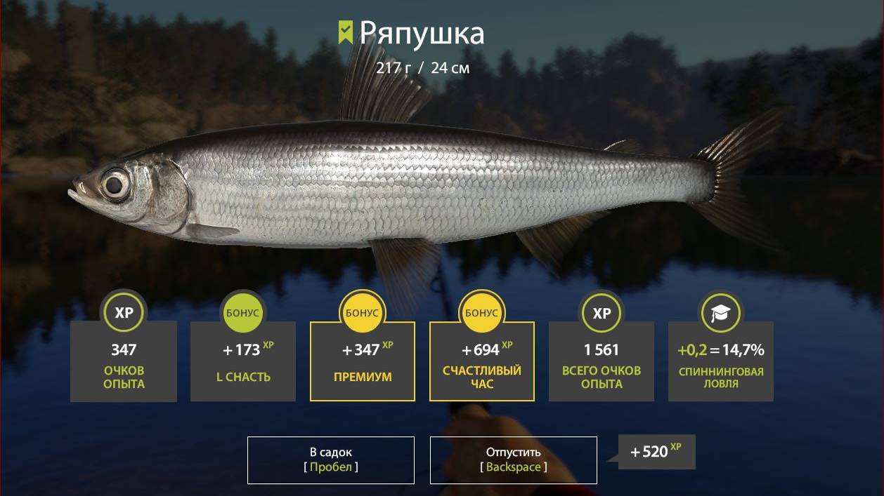 Русская Рыбалка 4. Озеро Куори. 120:113. Спиннинг. Ряпушка. Троф