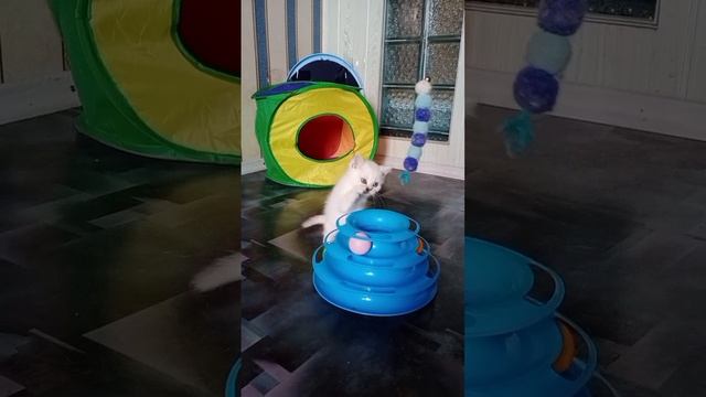 video_20250524_150855_edit.mp4