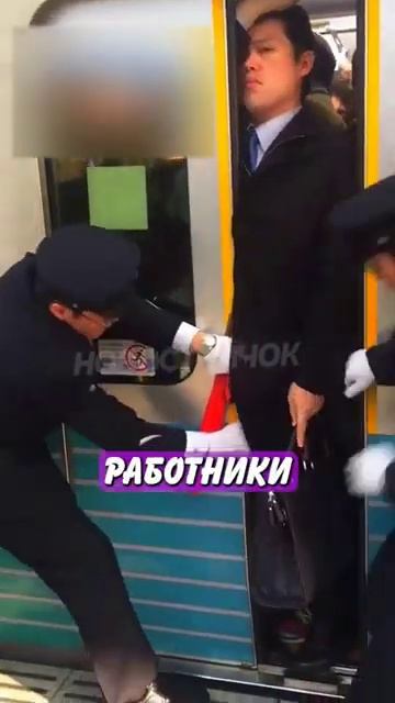 Новостничок (522)
