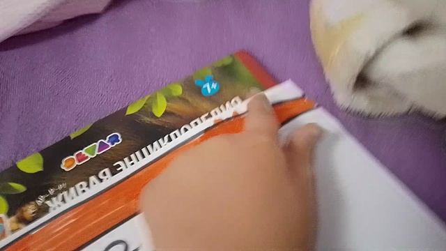 быстрое видео добëм 100?