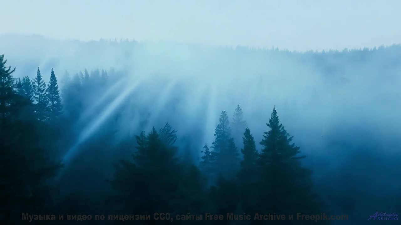 Леса манят сильнее, когда сопровождает такой саунд - Adventure In The Dark -- Ketsa -- Abundance