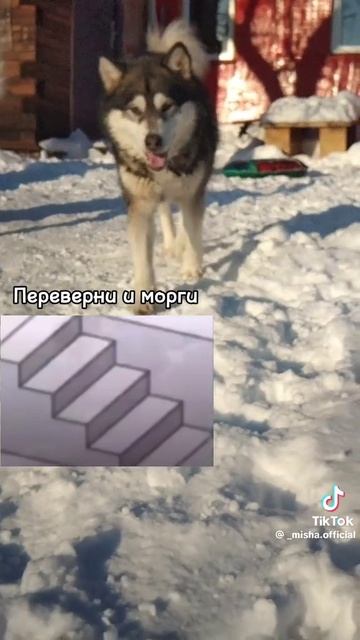 1000019977.mp4