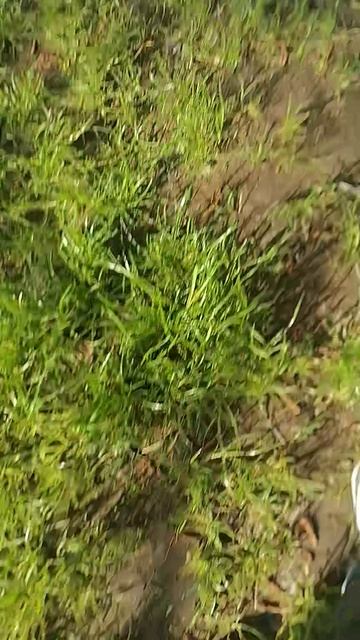 VID_20250524_173241.mp4