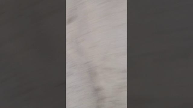 Приключения Вики Ярика. 1 сезон 4 серия