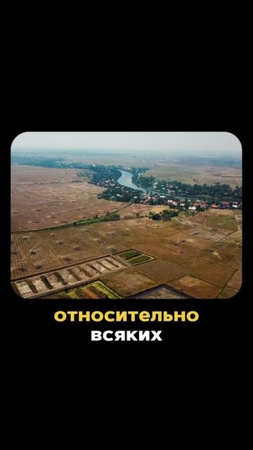 😭 Коллектор помог бабушке. Кредит для пенсионеров. Пл