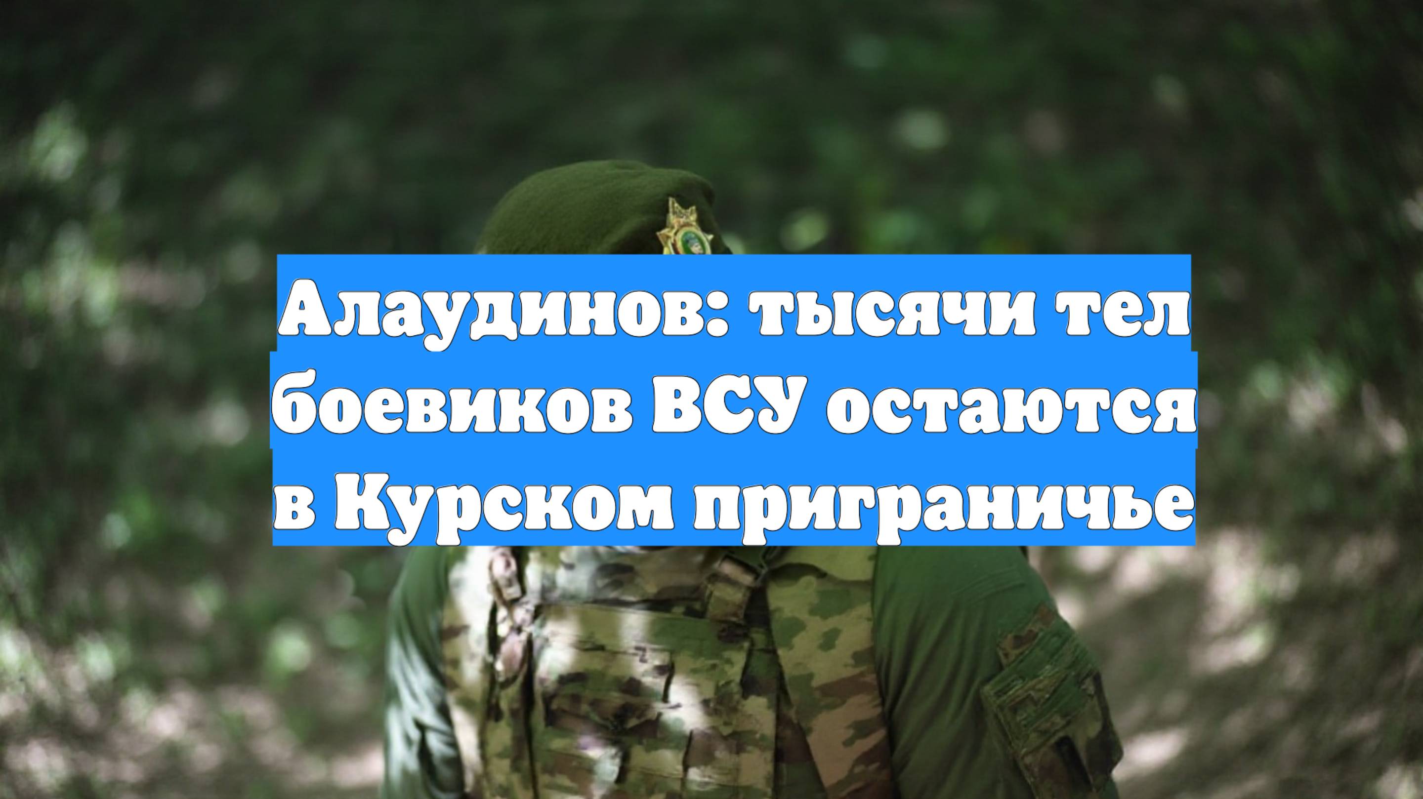 Алаудинов: тысячи тел боевиков ВСУ остаются в Курском приграничье