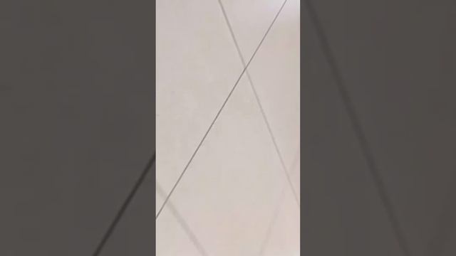 Все Эдиты с котом Тимоном/Тимошка и Шушик