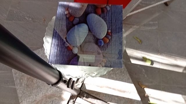 А какой у вас урожай лемонов, в этом году ?