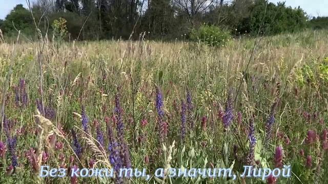 Посвящение Е. Доставалову.  Стихи Е. Минеева,, читает Е. Иванова-Воронцова