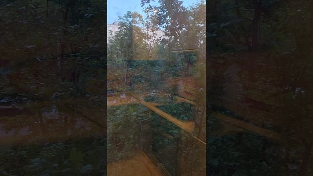 1000028674.mp4
