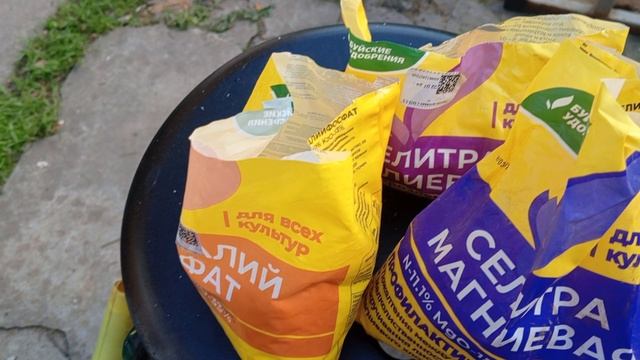 Первая и вторая подкормки томатов после высадки