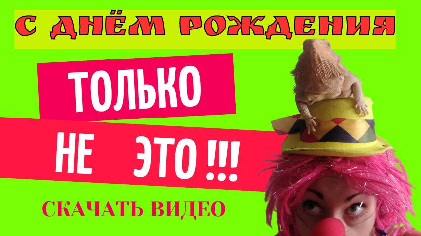 Скачать видео поздравление с днем рождения