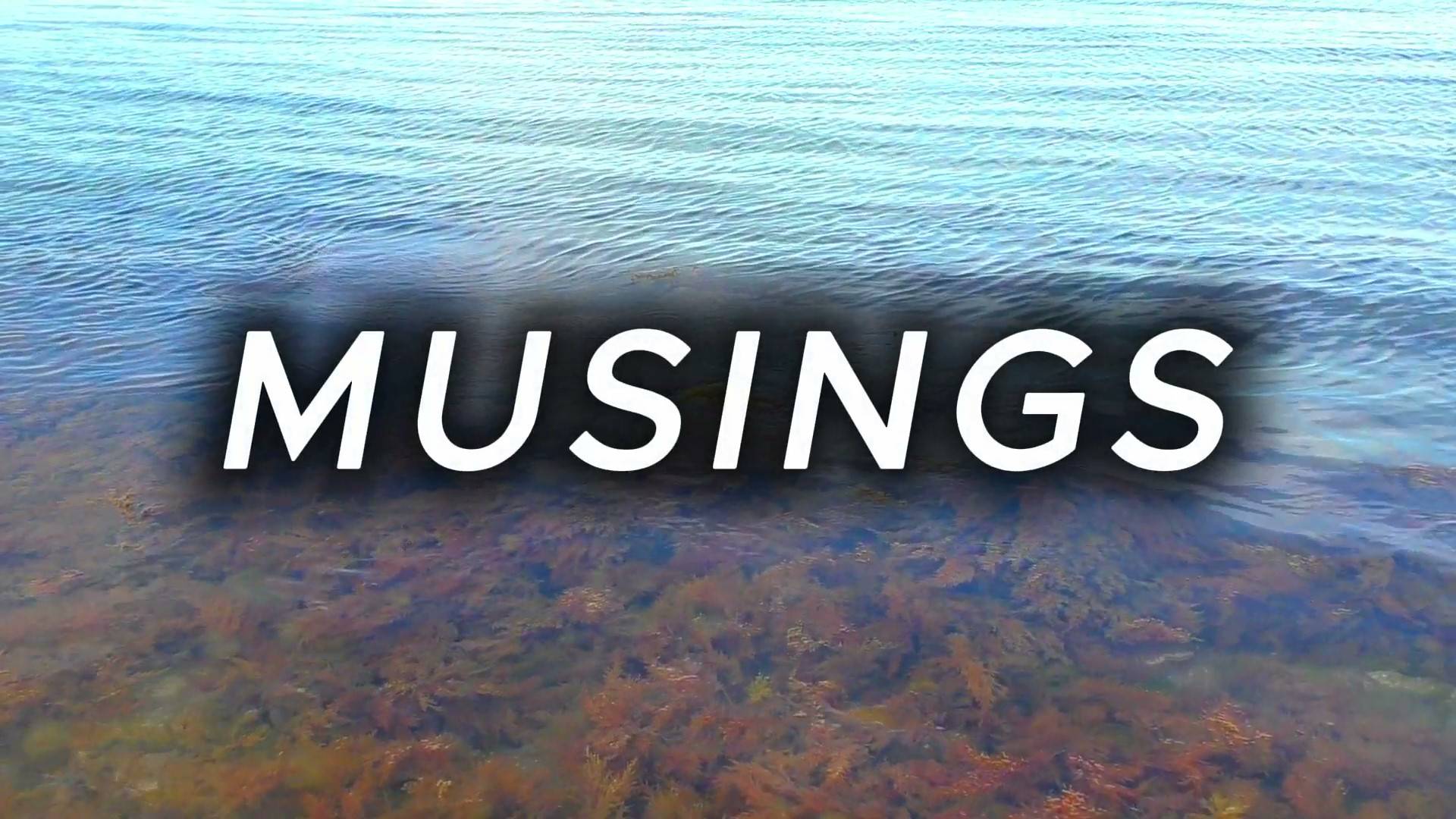 MUSINGS
