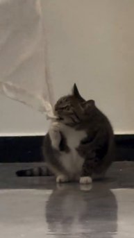 Только благодаря ему дом еще не унесло ветром