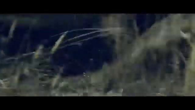 #UTV #Урал-Моторс #automobile #offroad #buggy (архивное видео 2013г.)