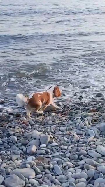 VID-20250524-WA0041