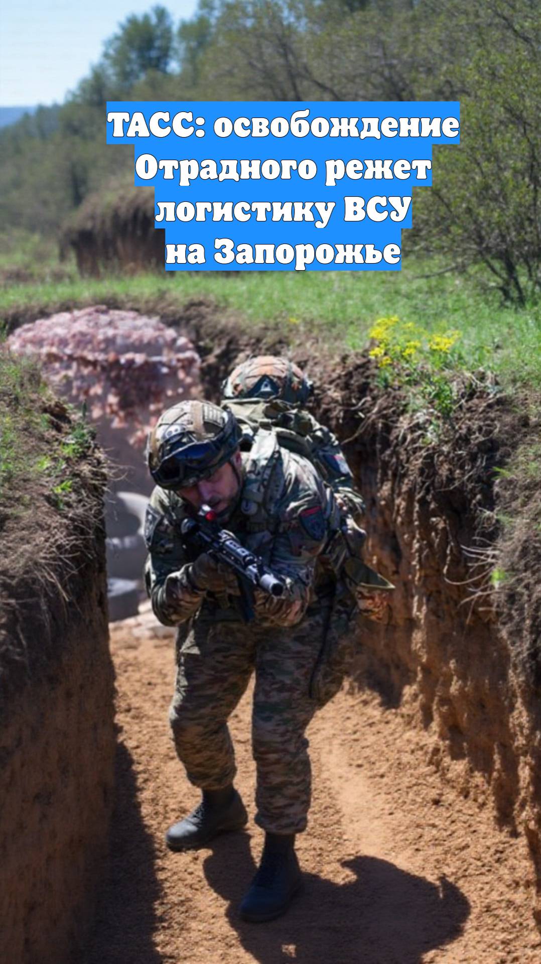 ТАСС: освобождение Отрадного режет логистику ВСУ на Запорожье