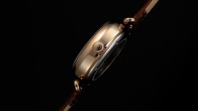 Механические наручные часы Carl von Zeyten CVZ0083RWHS