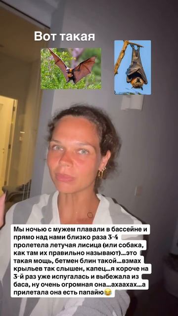 Увидели летучих лисиц
#путешествия #бали #отдых #лайфстайл