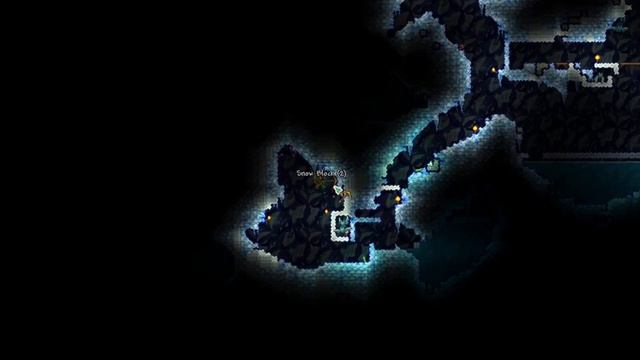 Counting play terraria