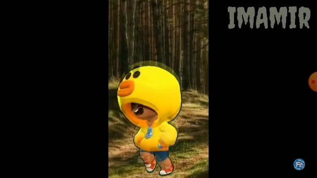 видео приколы