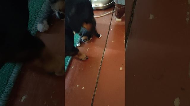 1000079591.mp4