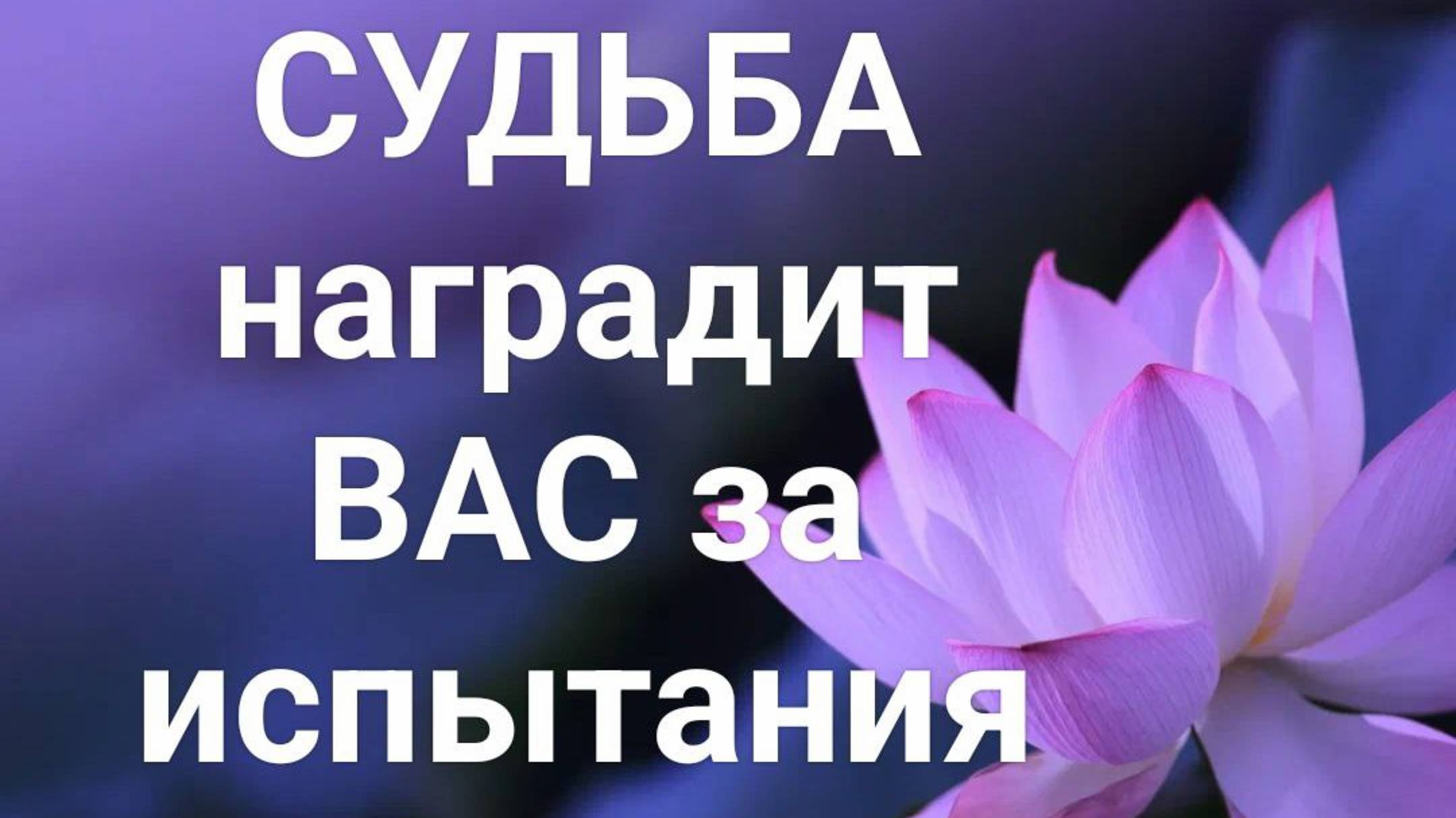 🪷 СУДЬБА наградит ВАС за испытания 🪷