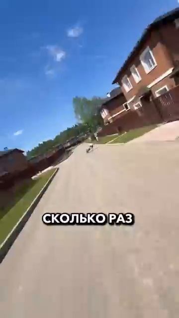 Павлов Family (357)