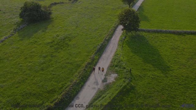 Поля становятся морем, а ноты - волнами - Here We Are -- PLANET WARDO -- PLANET WARDO