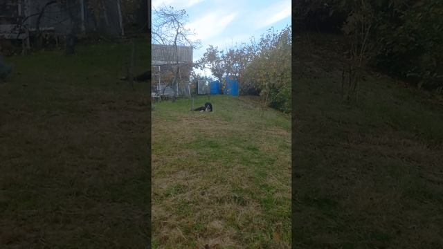 1000302065.mp4