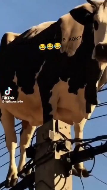 1000045781.mp4