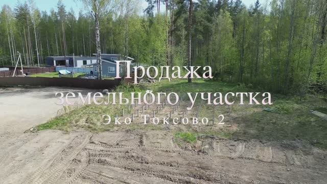 эко токсово 2 лето