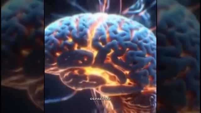Металлы — источник энергии для людей.