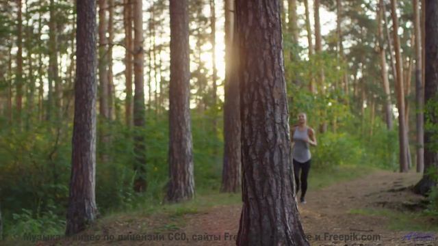 Музыка качает сильнее любого шторма на море - Raccoon Family Robinson -- Podington Bear -- Haplessly