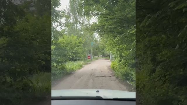Любимая ведьмочка