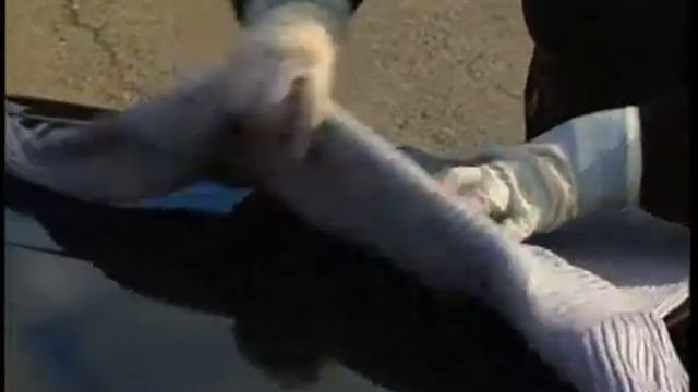Первая помощь пострадавшим в дорожно транспортных пр?