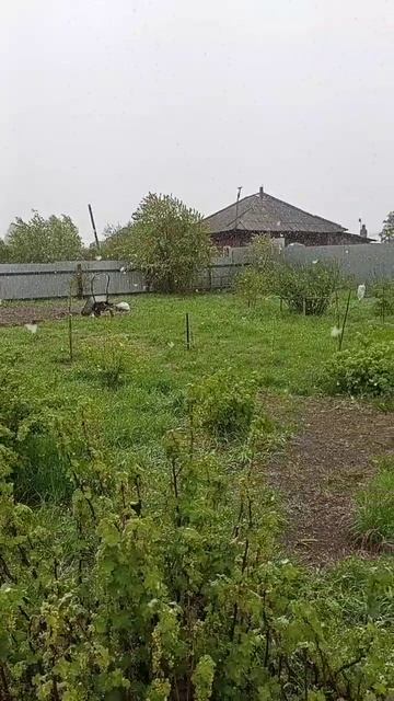 А у нас сегодня снег! А у вас?