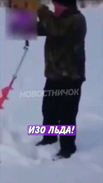 Новостничок (548)