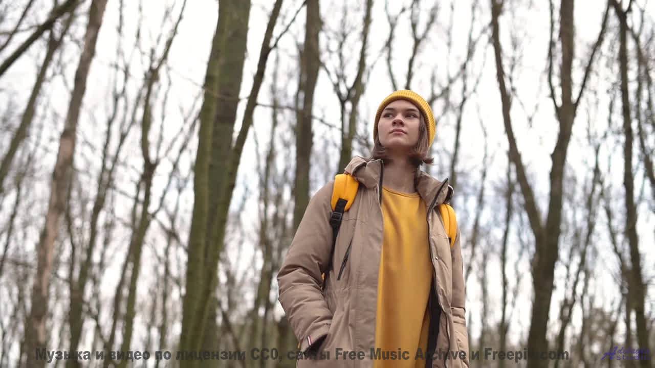 Звуки, материализующие мысли - где граница между наукой и магией - Gruyere -- Podington Bear -- Homa