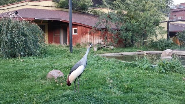 VID_20220819_194828